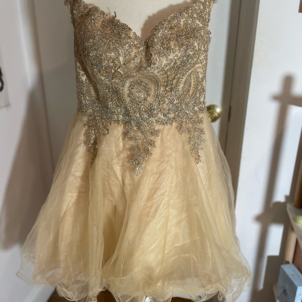 Elegant Gold Satin Dress by EVA Plus Size